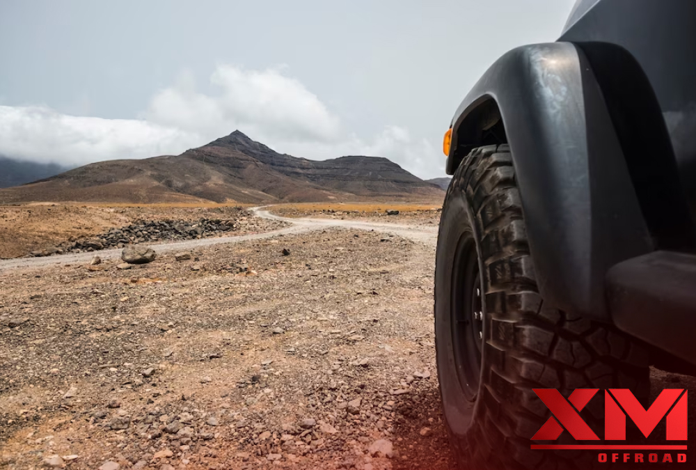 20-Inch Rims, Limitless Adventures_ The Top 10 All-Terrain Tires of 2023